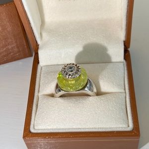 NWT SS Interchangeable Ring